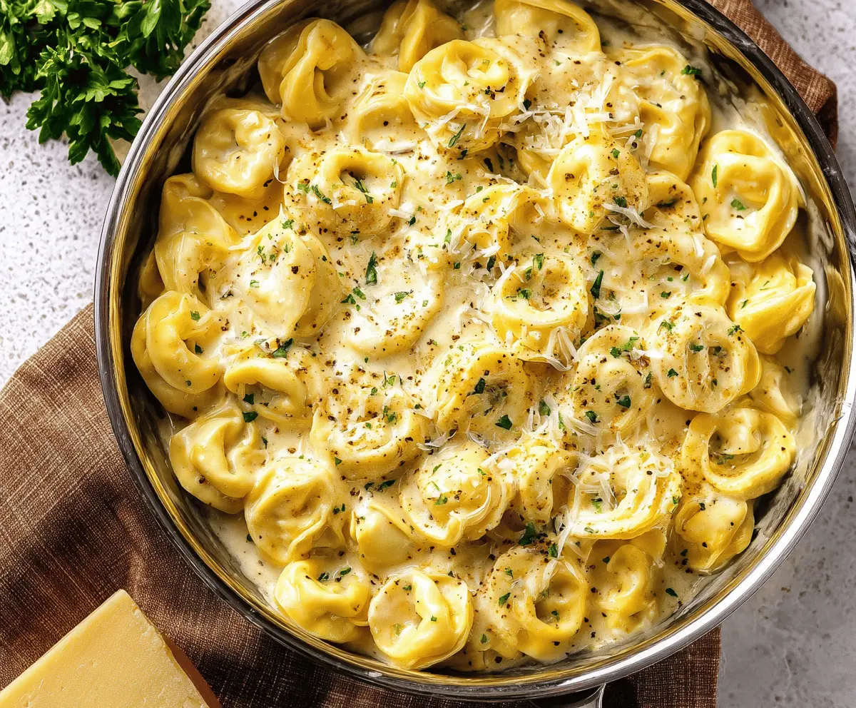 Easy Cheesy Alfredo Tortellini Recipe for Creamy Comfort Meals